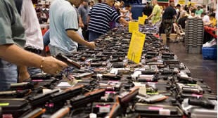 US Senate Says Right to Keep & Bear Arms is Debatable