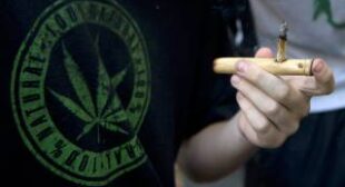 Uruguay legalizes sale and production of marijuana