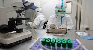 70-90% efficiency: Russia to send Ebola vaccine to W. Africa in 2 months