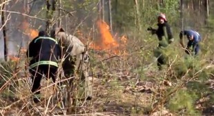 Smoke from Chernobyl fire could spread radiation far and wide – experts