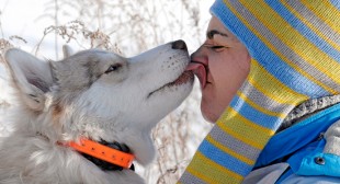 Dogs really do love us: Study finds first evidence of inter-species hormone exchange
