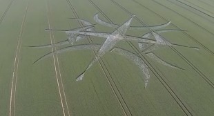 Mysterious crop patterns appear near Stonehenge (VIDEO)