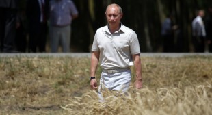 Putin wants Russia to become world’s organic food superpower but first hopes to clip Turkey’s wings