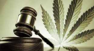 Mexico Rules Consumption and Cultivation of Cannabis is a Fundamental Human Right