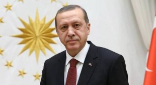 Erdogan cites Hitler’s Germany as example of effective presidential system