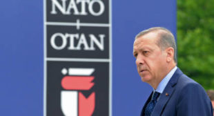 Analyst Explains Why Turkey ‘Can Calmly Withdraw From NATO’ After Putin’s Speech