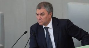 US and EU failed to impose ‘pet president’ on Russia, says Duma speaker