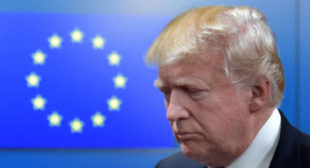 ‘US has become unreliable’: Austrian chancellor questions Washington’s commitment to EU