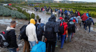 Hungary Unlikely to Abandon Tough Stance on Migration Despite EU Pressure – MP