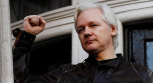 Lawyers Concerned About Ecuadorian Government Silence Over Assange’s Future