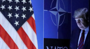 If Trump continues pushing Europeans, it would bring an end to NATO – Wimmer