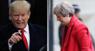 Trump ‘bashes’ UK’s May after she calls to congratulate him on midterm results