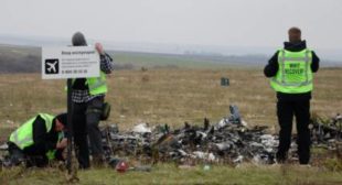 German Detective to Reveal Evidence on MH17 Crash if JIT Confirms Participation in Procedure