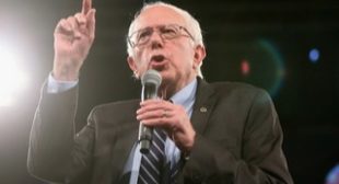 Rising in the Polls, Sanders Takes Jabs From Trump, Warren