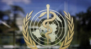 WHO Says US and Brazil Failed to Take Warnings About Virus Outbreak Seriously From the Start