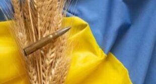 Sowing Seeds of Plunder: A Lose-Lose Situation in Ukraine