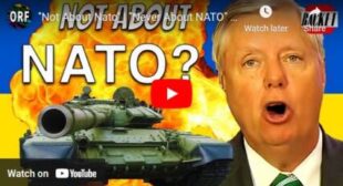 “Not About Nato” | “Never About NATO” | “Nothing to do with NATO” | UKRAINE WAR🎞