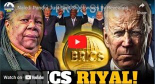 Naledi Pandor Just Sent Shockwaves By Revealing BRICS New Currency