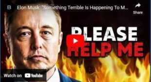 Elon Musk: “Something Terrible Is Happening To Me Right Now!