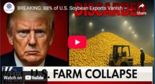88% of U.S. Soybean Exports Vanish — Farm System in Crisis| farming fixing and fabricating 88% of U.S. Soybean Exports Vanish — Farm System in Crisis| farming fixing and fabricating